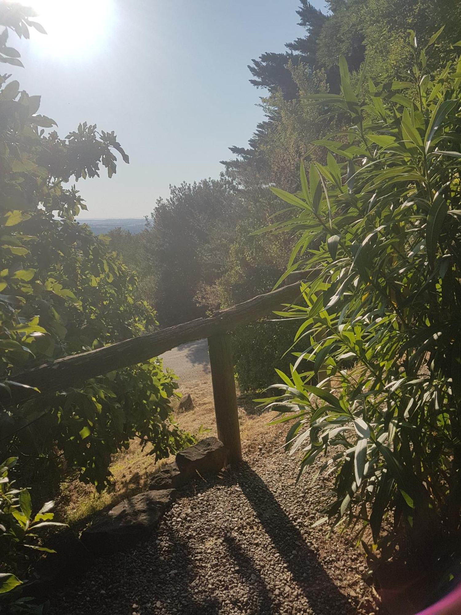 考林庄园酒店 卡尔卡松 外观 照片