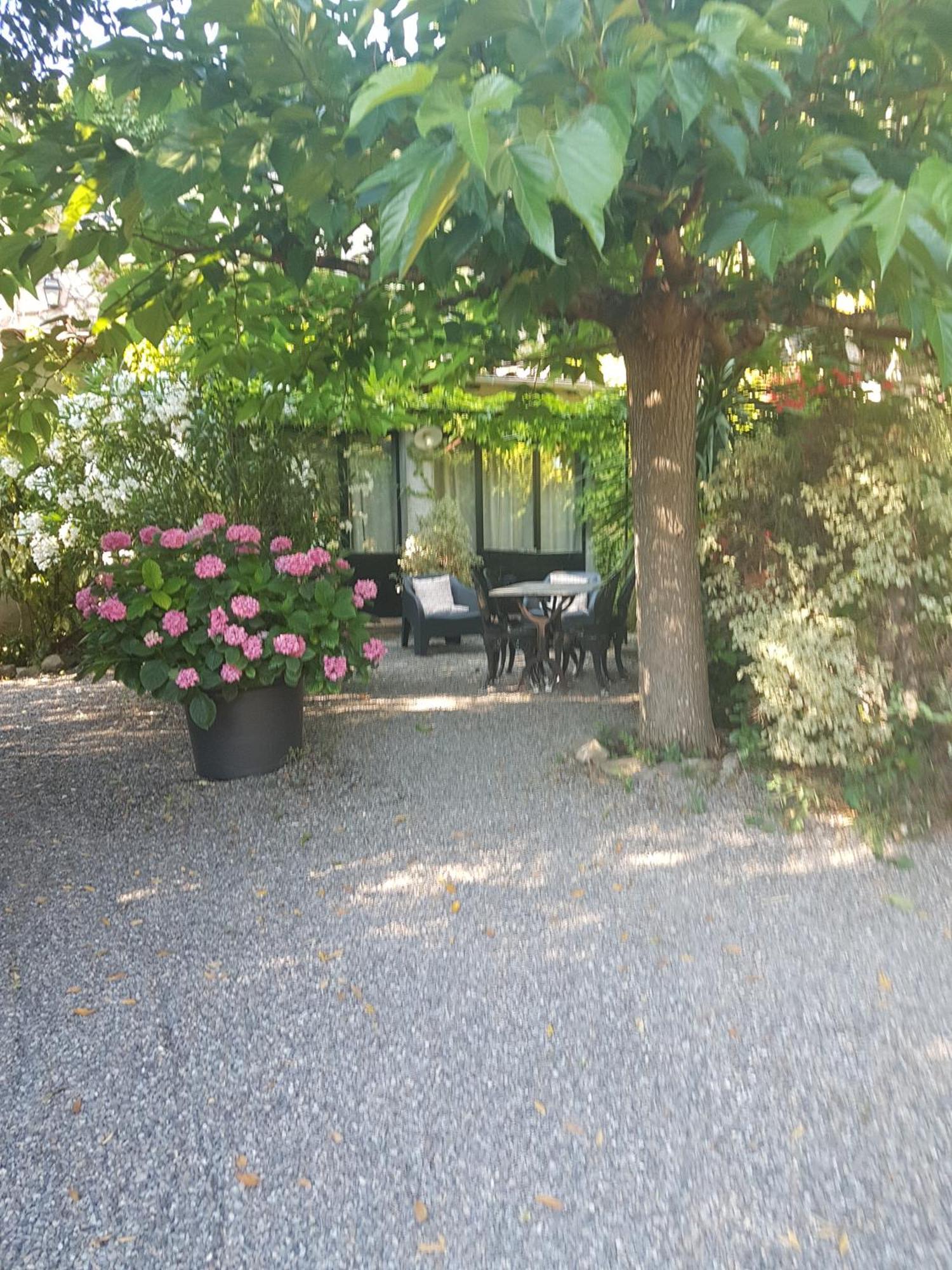 考林庄园酒店 卡尔卡松 外观 照片